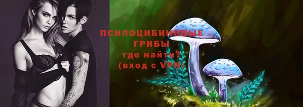гидропоника Няндома