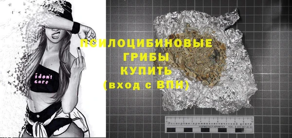 гидропоника Няндома